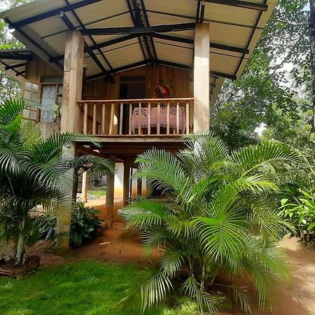 Ruk Sewana Villa Tree House Sigiriya Eksteriør bilde