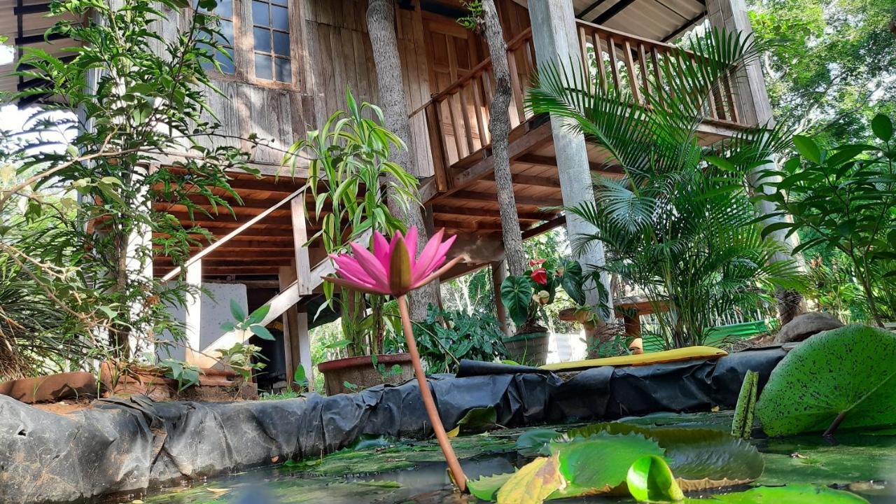 Ruk Sewana Villa Tree House Sigiriya Eksteriør bilde