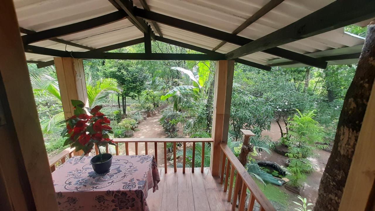 Ruk Sewana Villa Tree House Sigiriya Eksteriør bilde