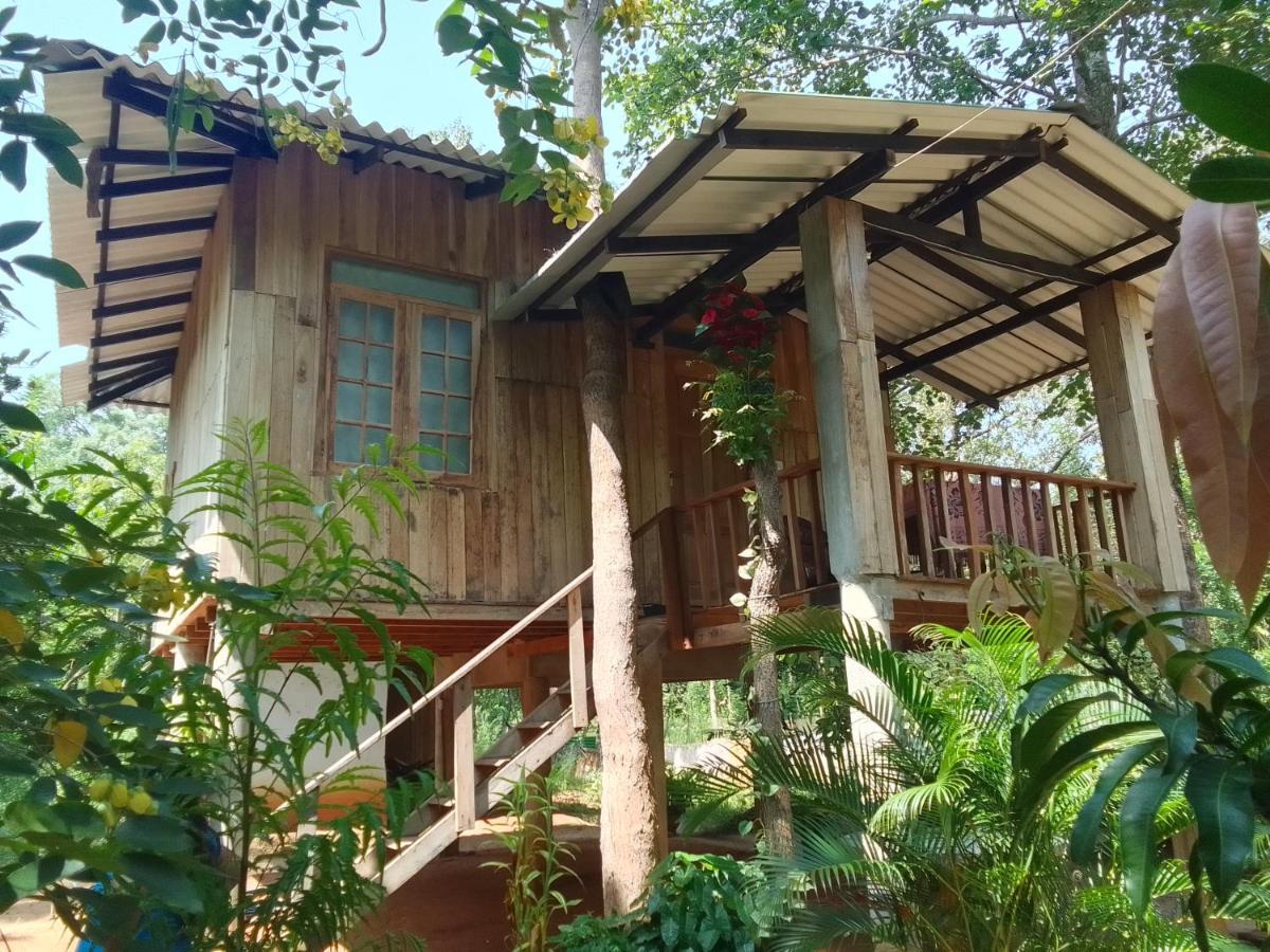 Ruk Sewana Villa Tree House Sigiriya Eksteriør bilde