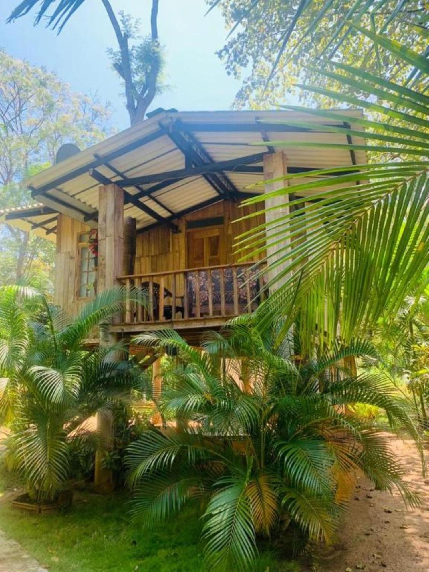 Ruk Sewana Villa Tree House Sigiriya Eksteriør bilde
